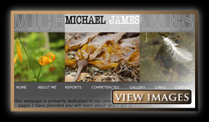 Michael James Website Images