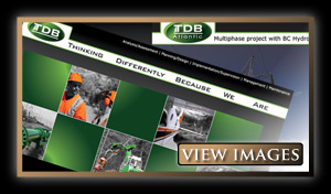 TDB Consultants Inc. Graphic Design Images