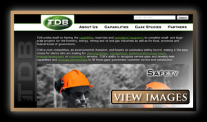 TDB Consultants Inc. Website Images
